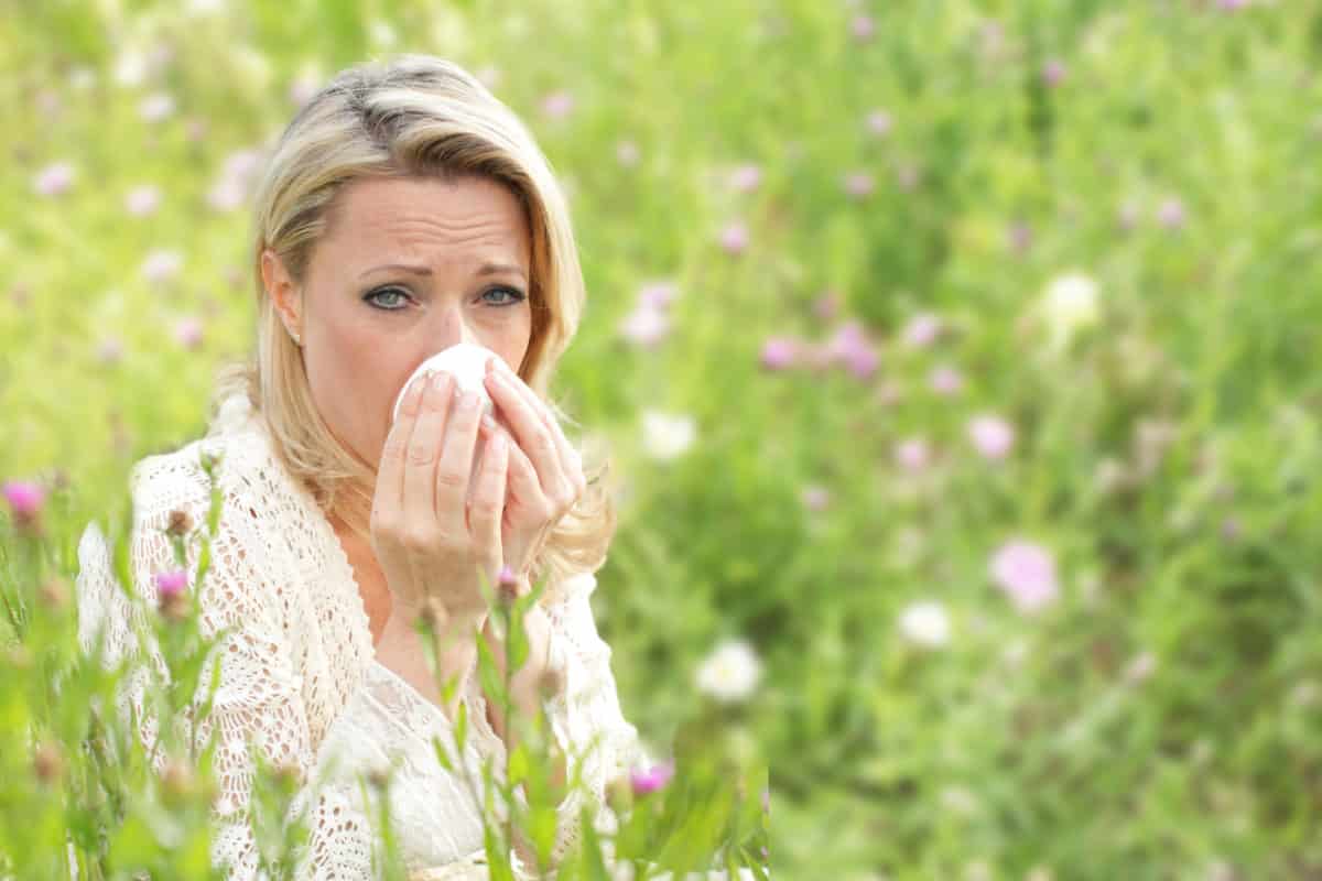 Летний насморк. Поллиноз (аллергия на пыльцу). Поллиноз 2023. Сезонная аллергия.